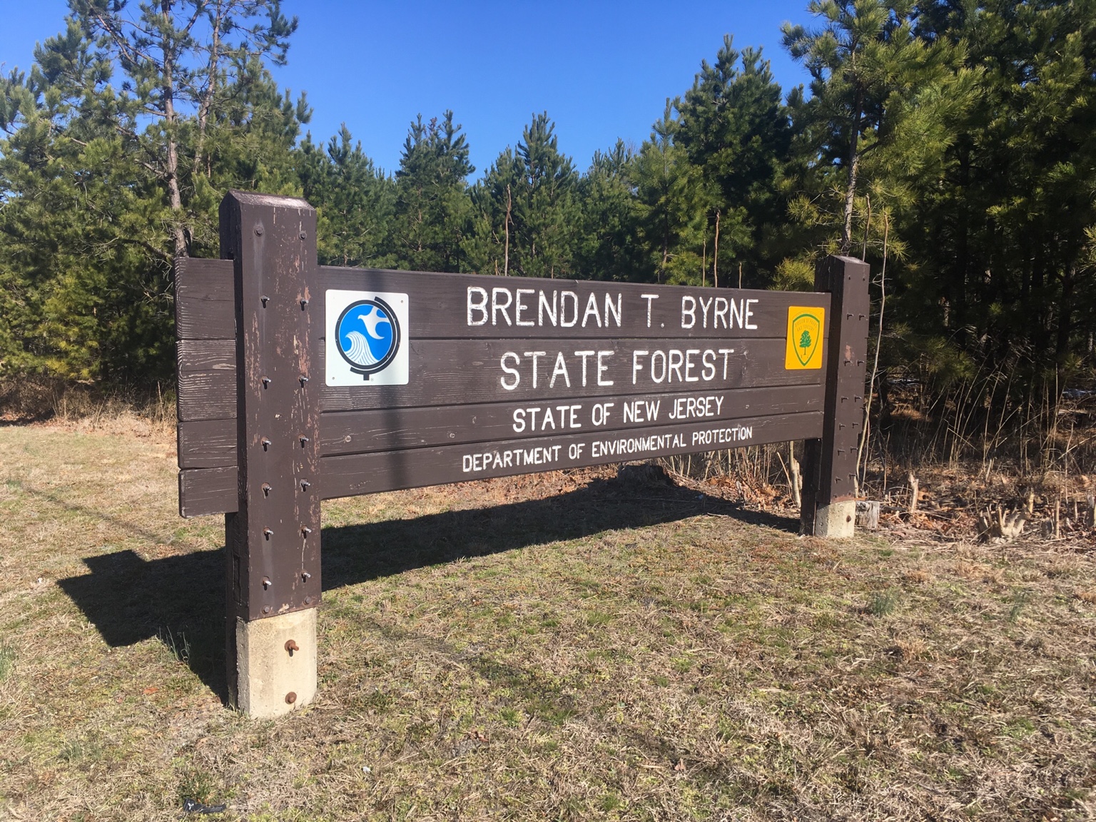 Brendan T. Byrne State Forest March 17, 18, 19, 2017 Hammock